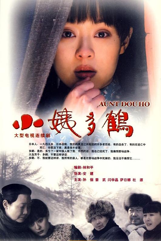 小姨多鹤 封面