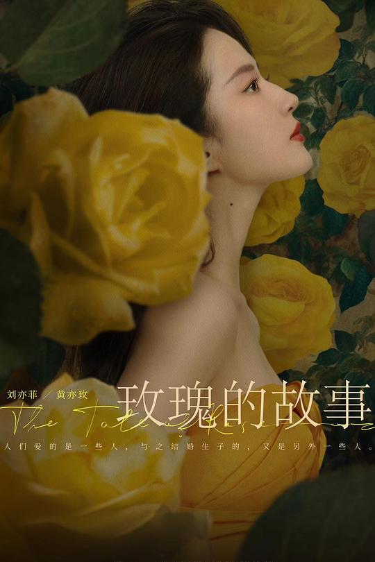 玫瑰的故事 封面